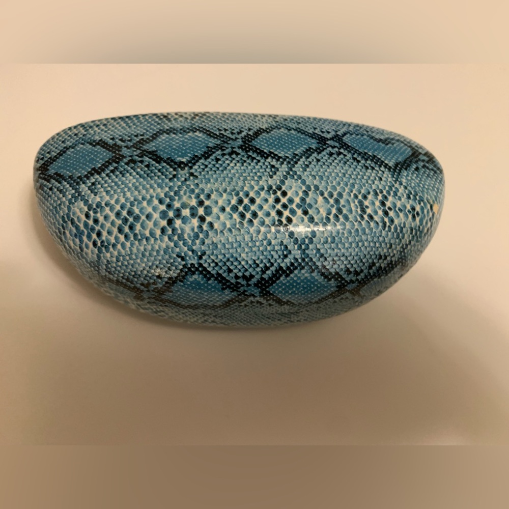 Glasses Case